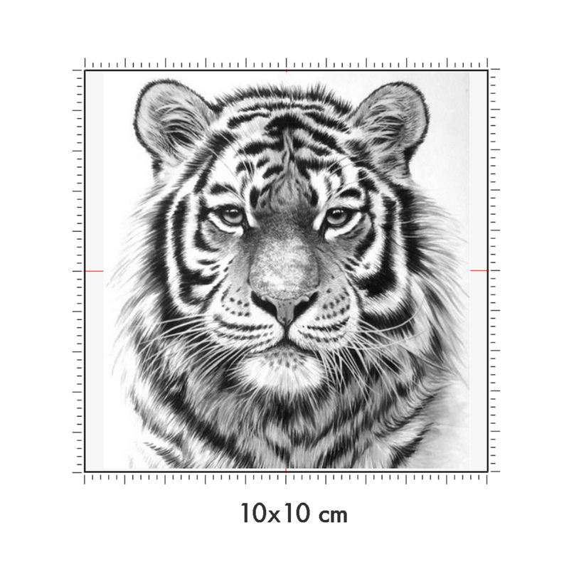 10 x 10 cm