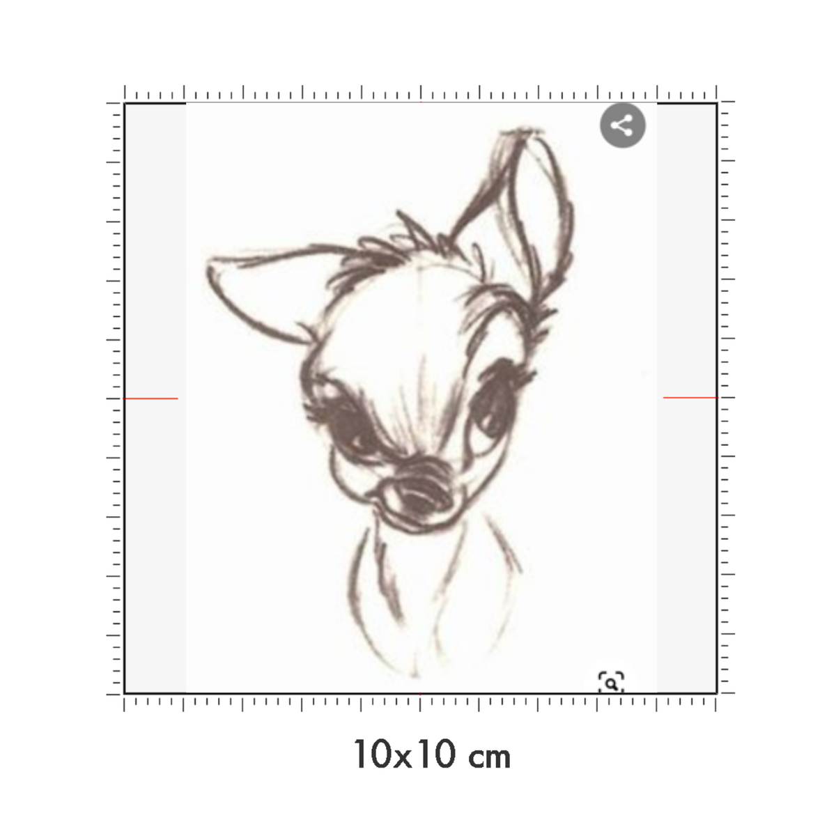 10 x 10 cm