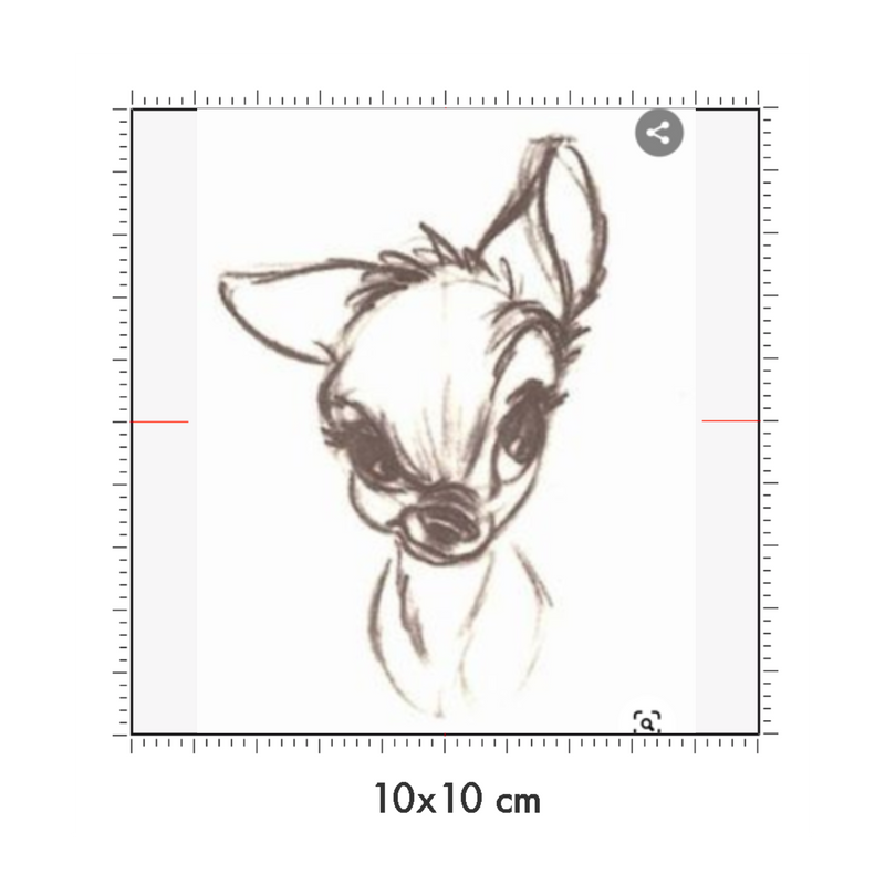 10 x 10 cm