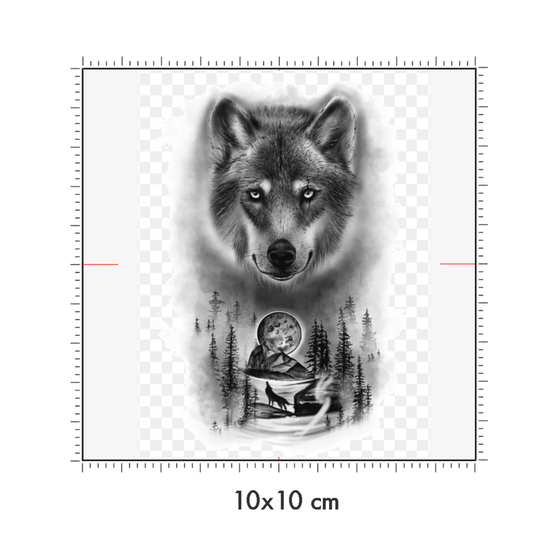 10 x 10 cm