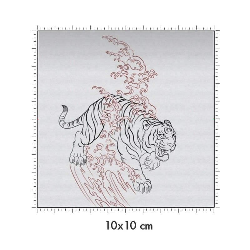 10 x 10 cm