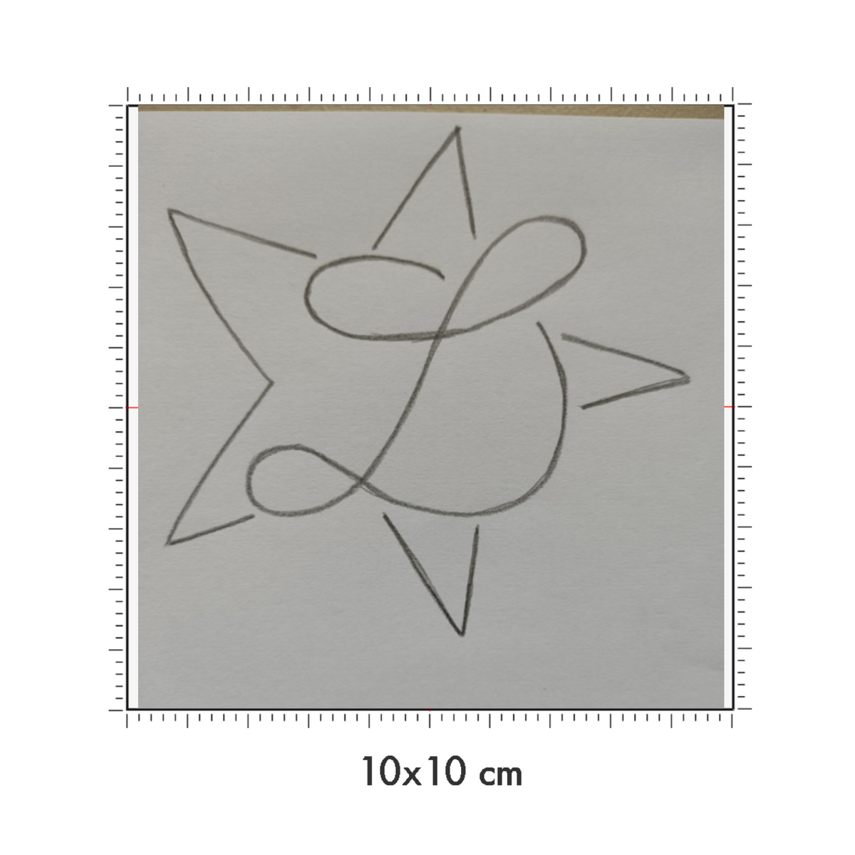 10 x 10 cm