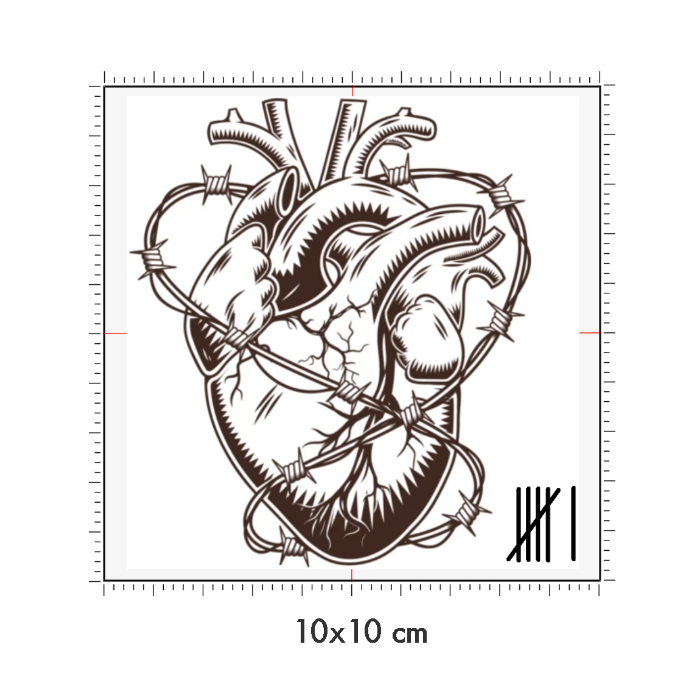 10 x 10 cm