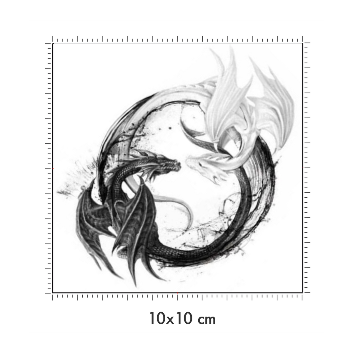 10 x 10 cm