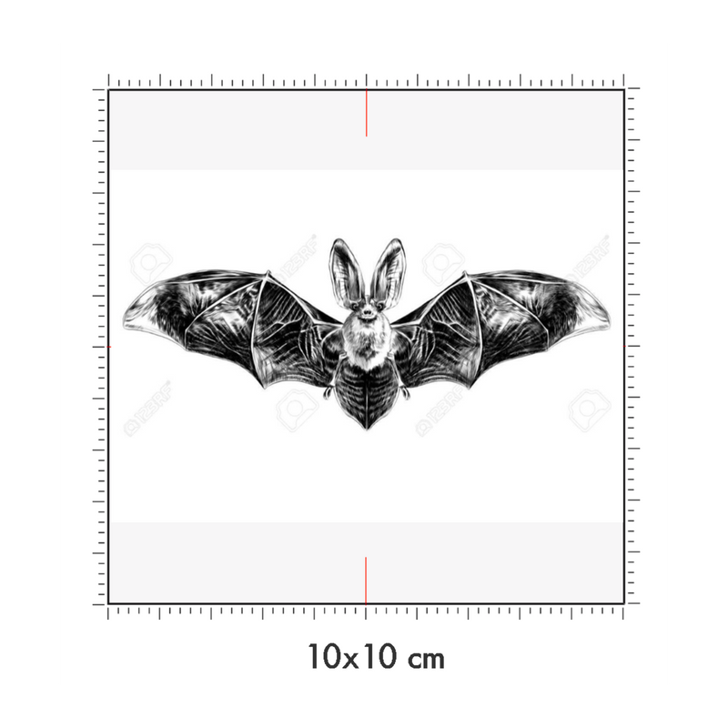 10 x 10 cm
