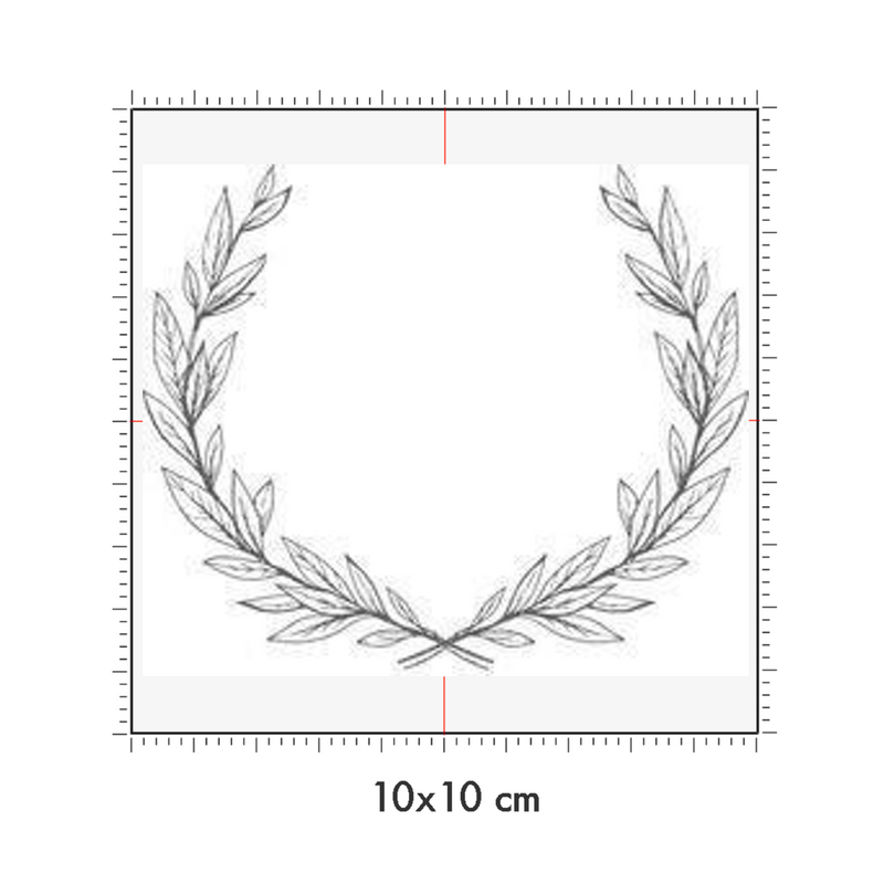 10 x 10 cm