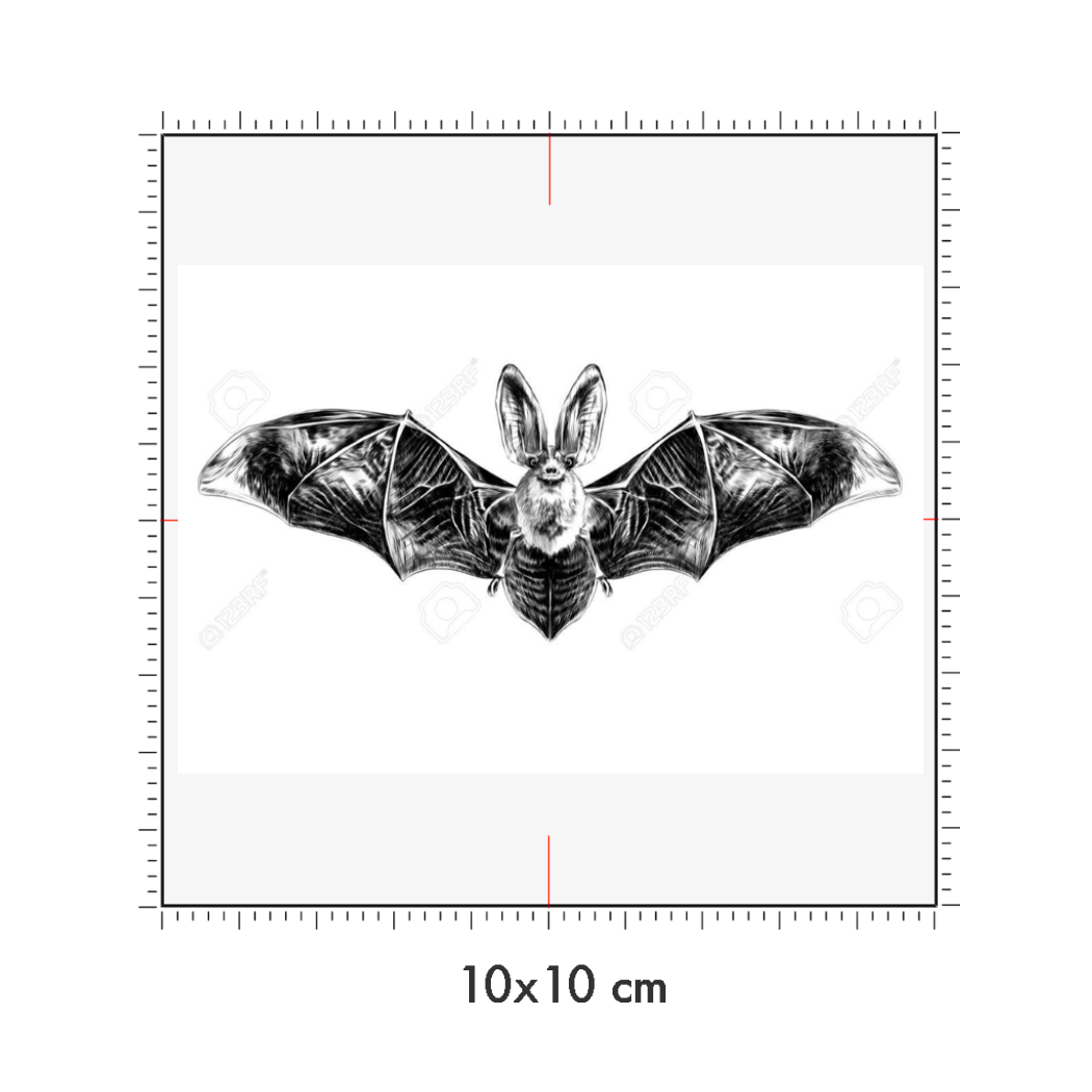 10 x 10 cm