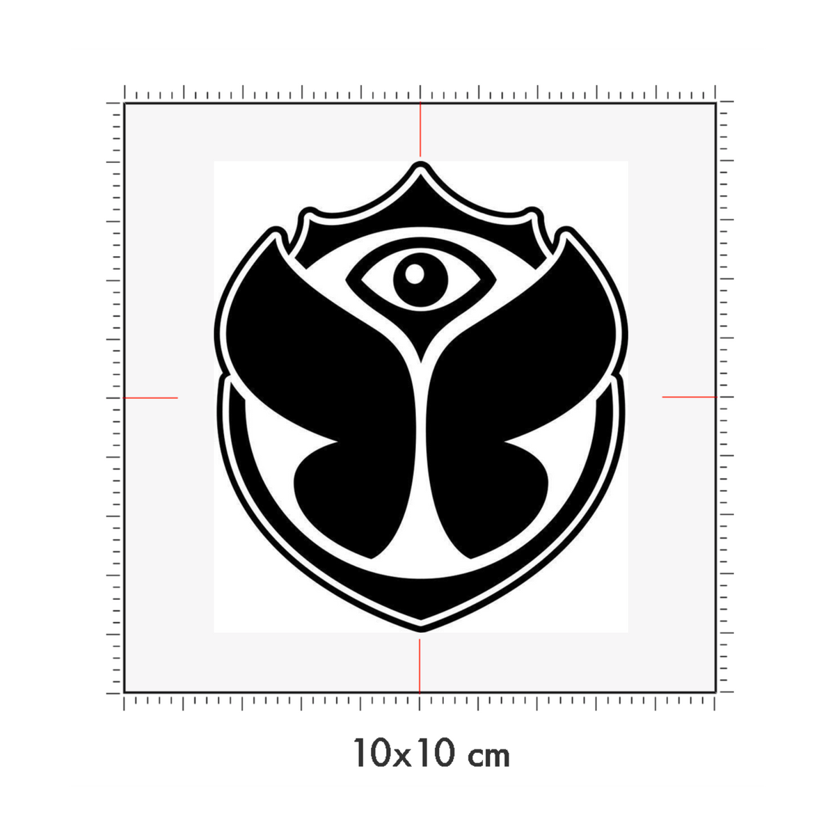 10 x 10 cm