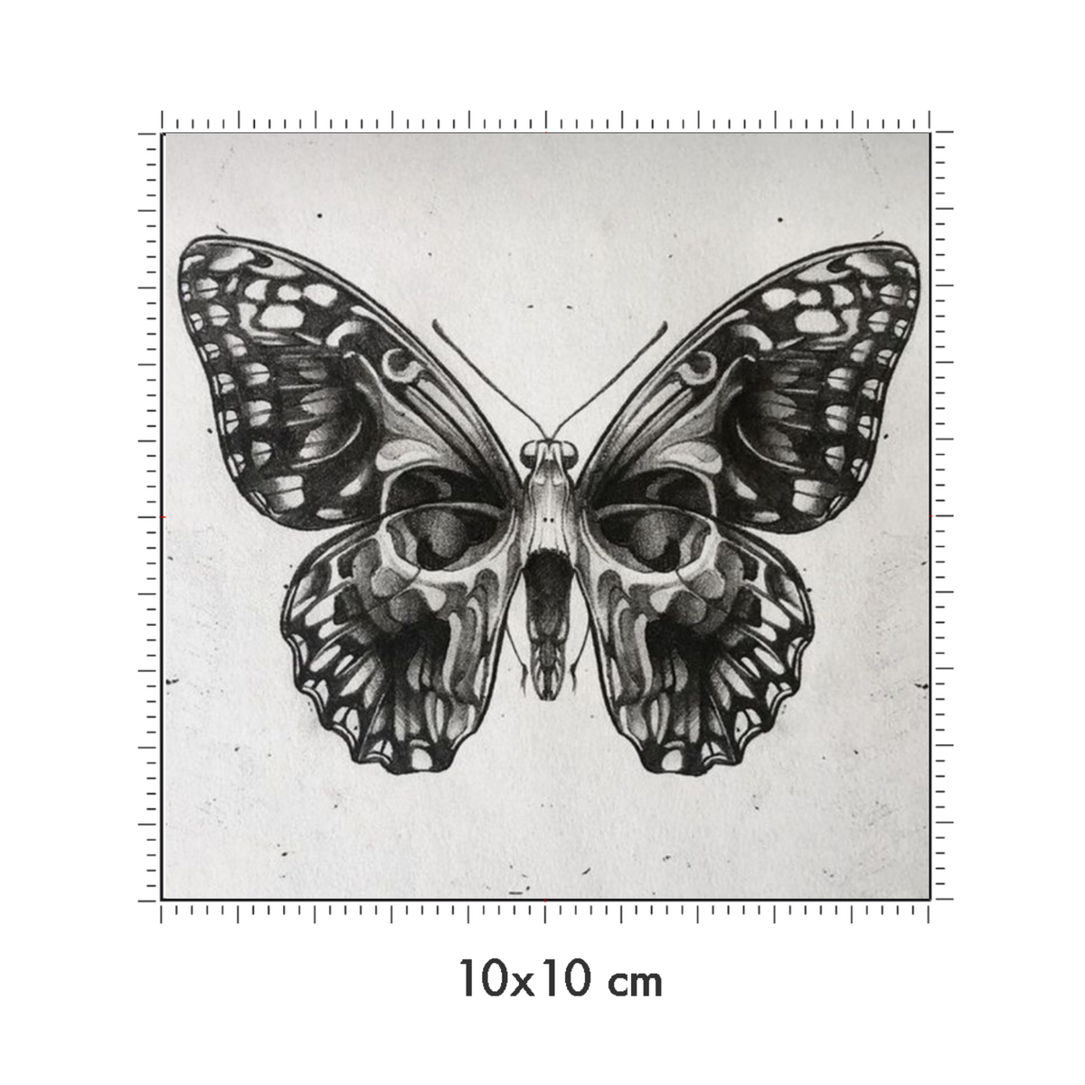 10 x 10 cm