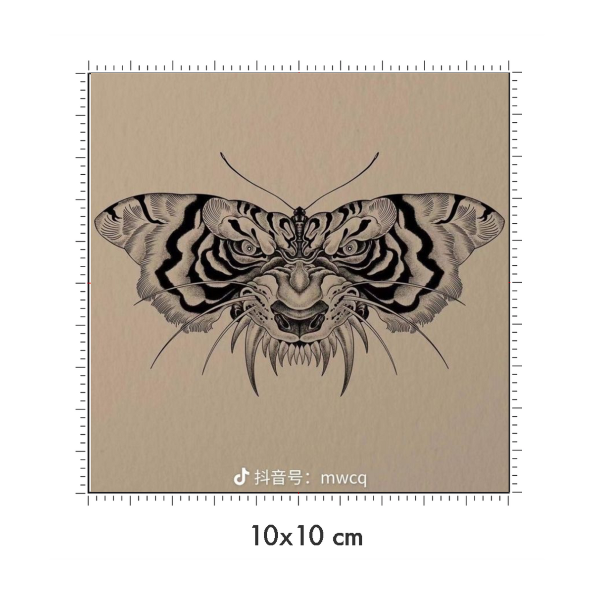 10 x 10 cm