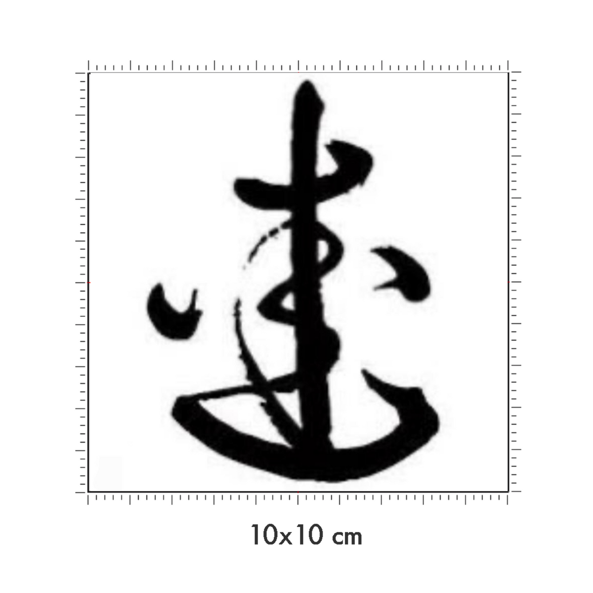 10 x 10 cm