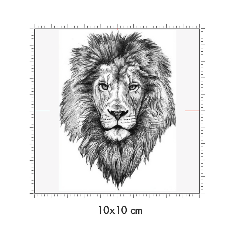 10 x 10 cm