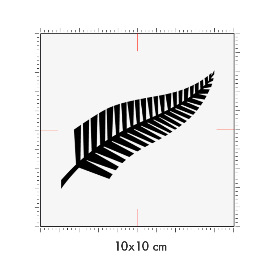 10 x 10 cm