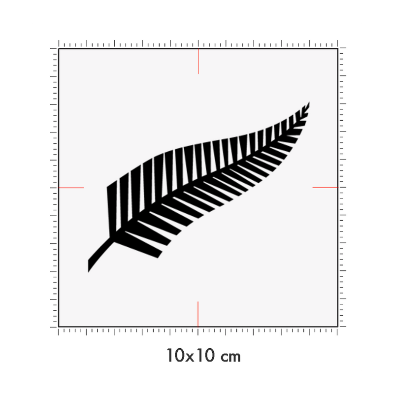 10 x 10 cm