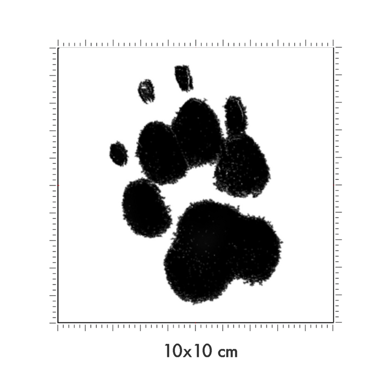 10 x 10 cm