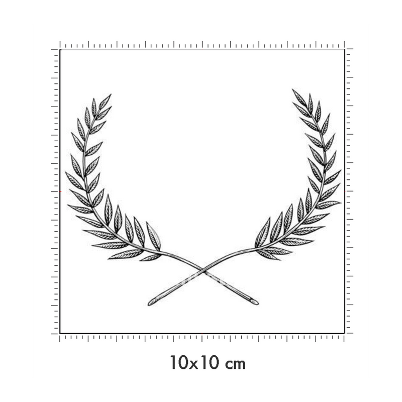 10 x 10 cm