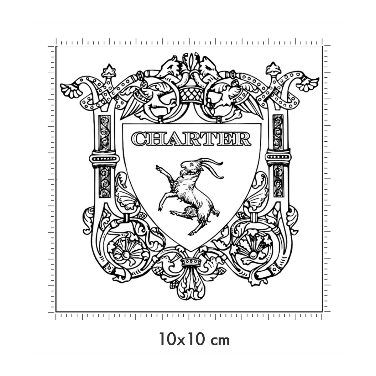10 x 10 cm