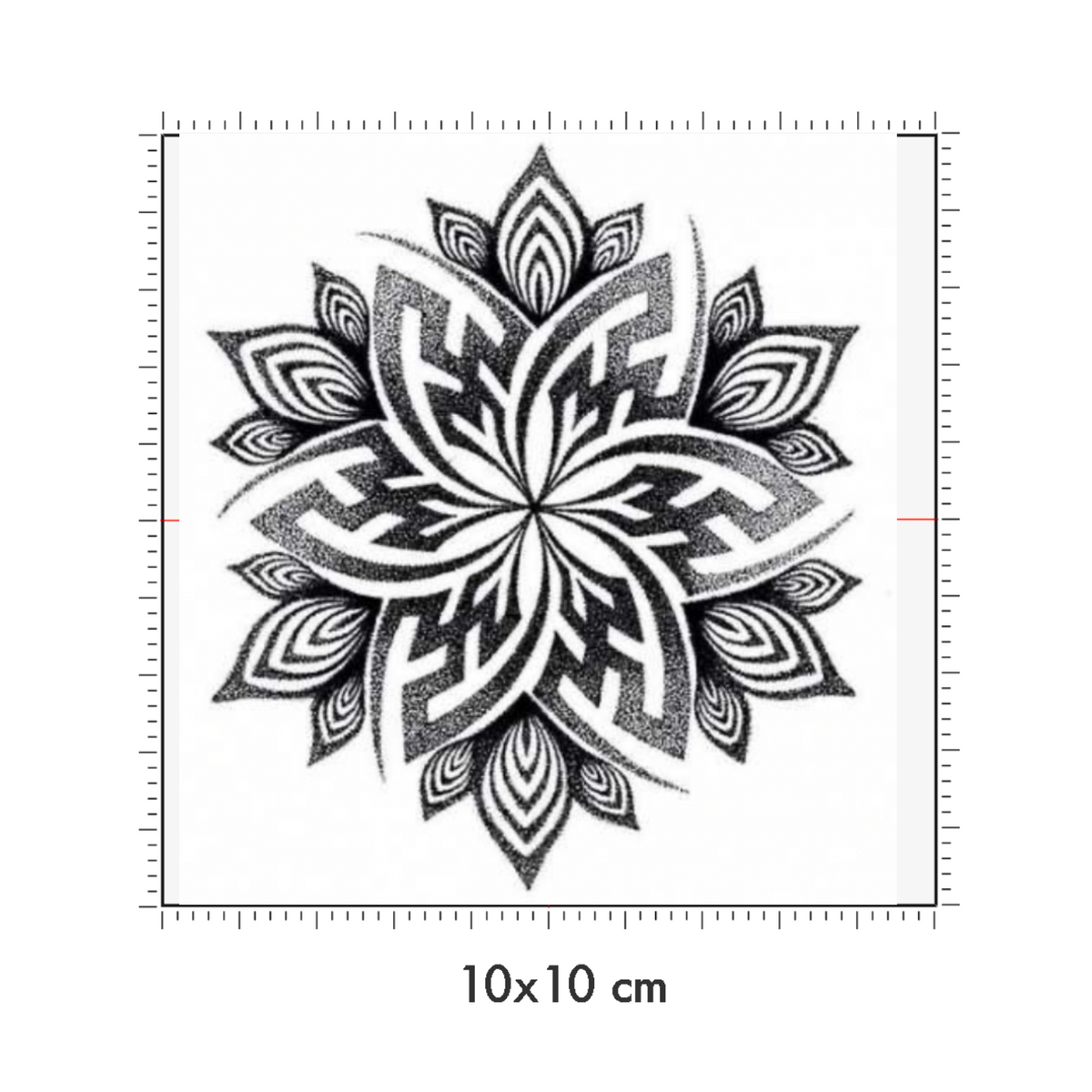10 x 10 cm