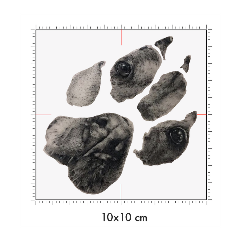 10 x 10 cm