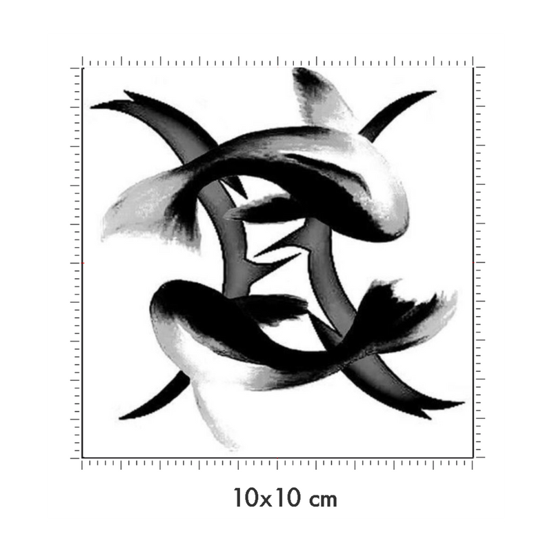 10 x 10 cm