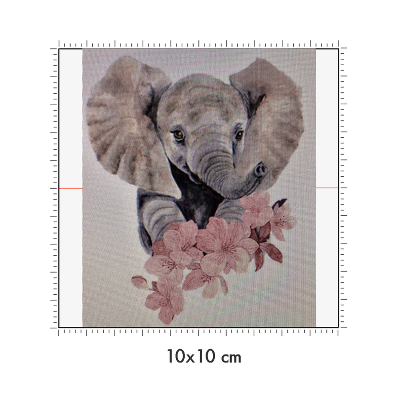 10 x 10 cm