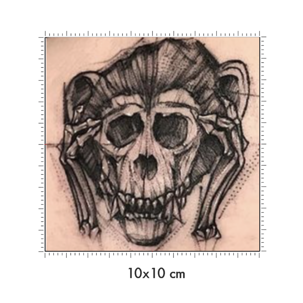 10 x 10 cm