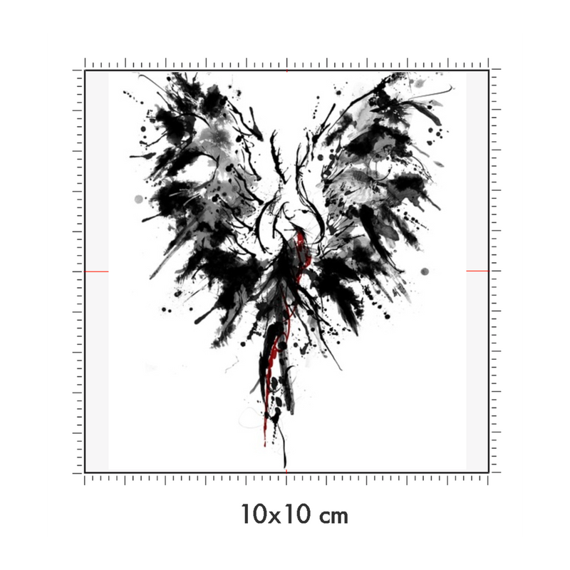 10 x 10 cm