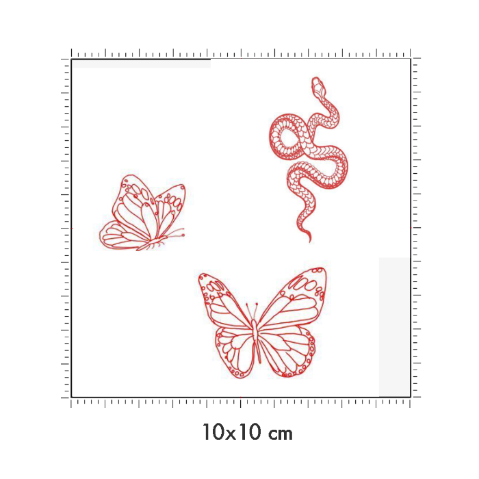 10 x 10 cm