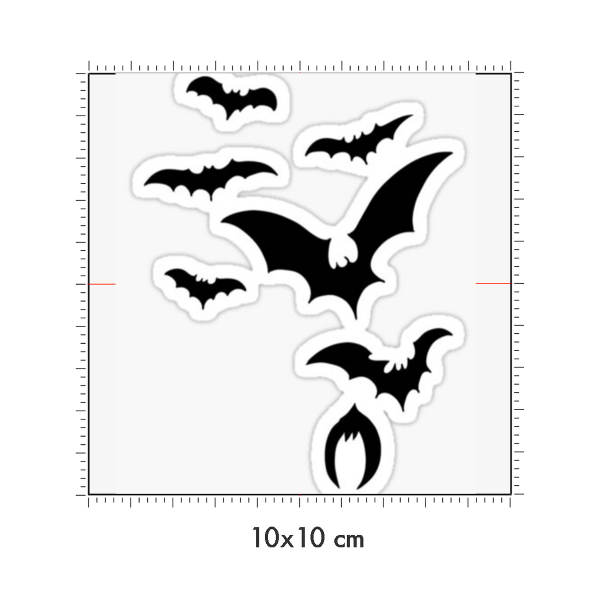 10 x 10 cm