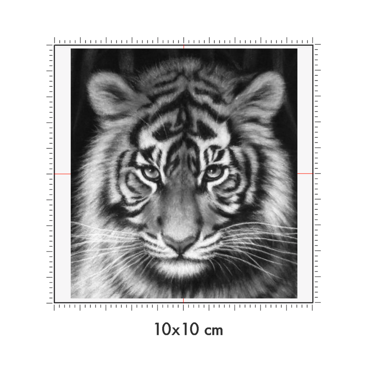 10 x 10 cm
