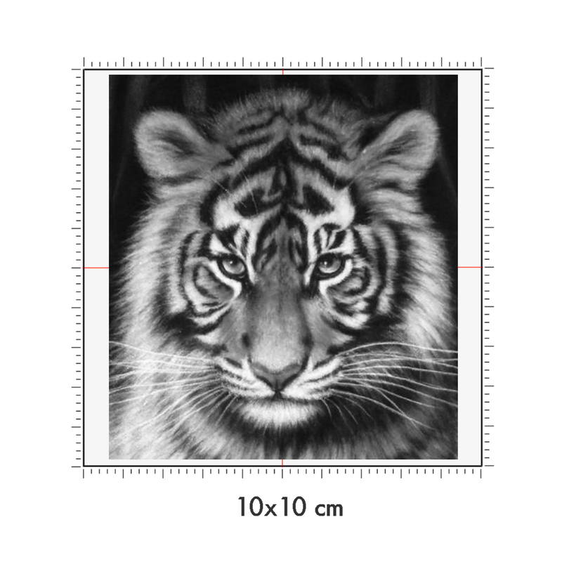 10 x 10 cm