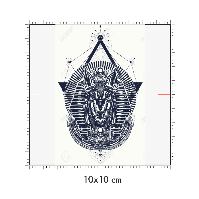 10 x 10 cm