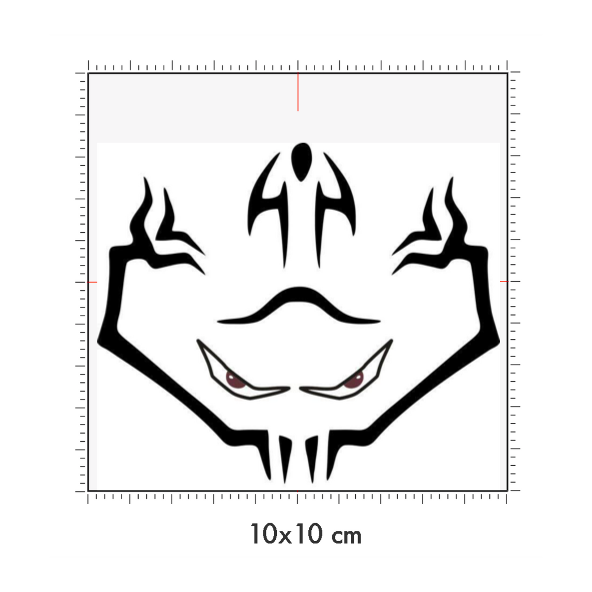 10 x 10 cm