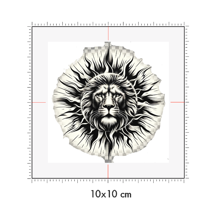 10 x 10 cm