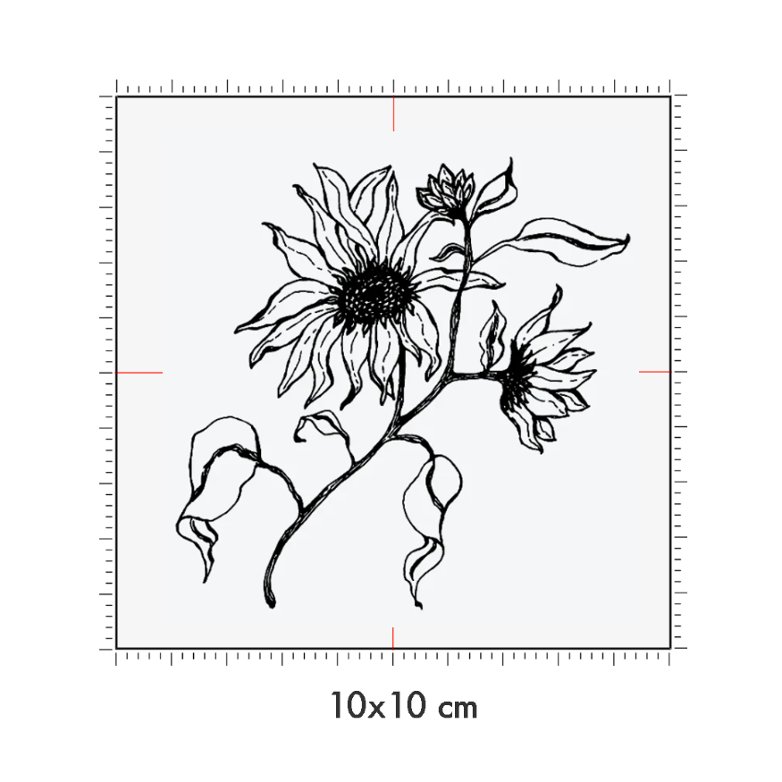 10 x 10 cm