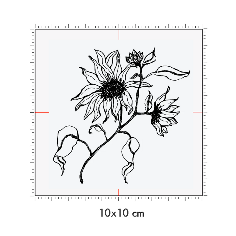 10 x 10 cm