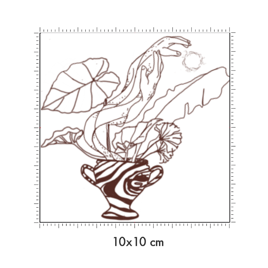10 x 10 cm