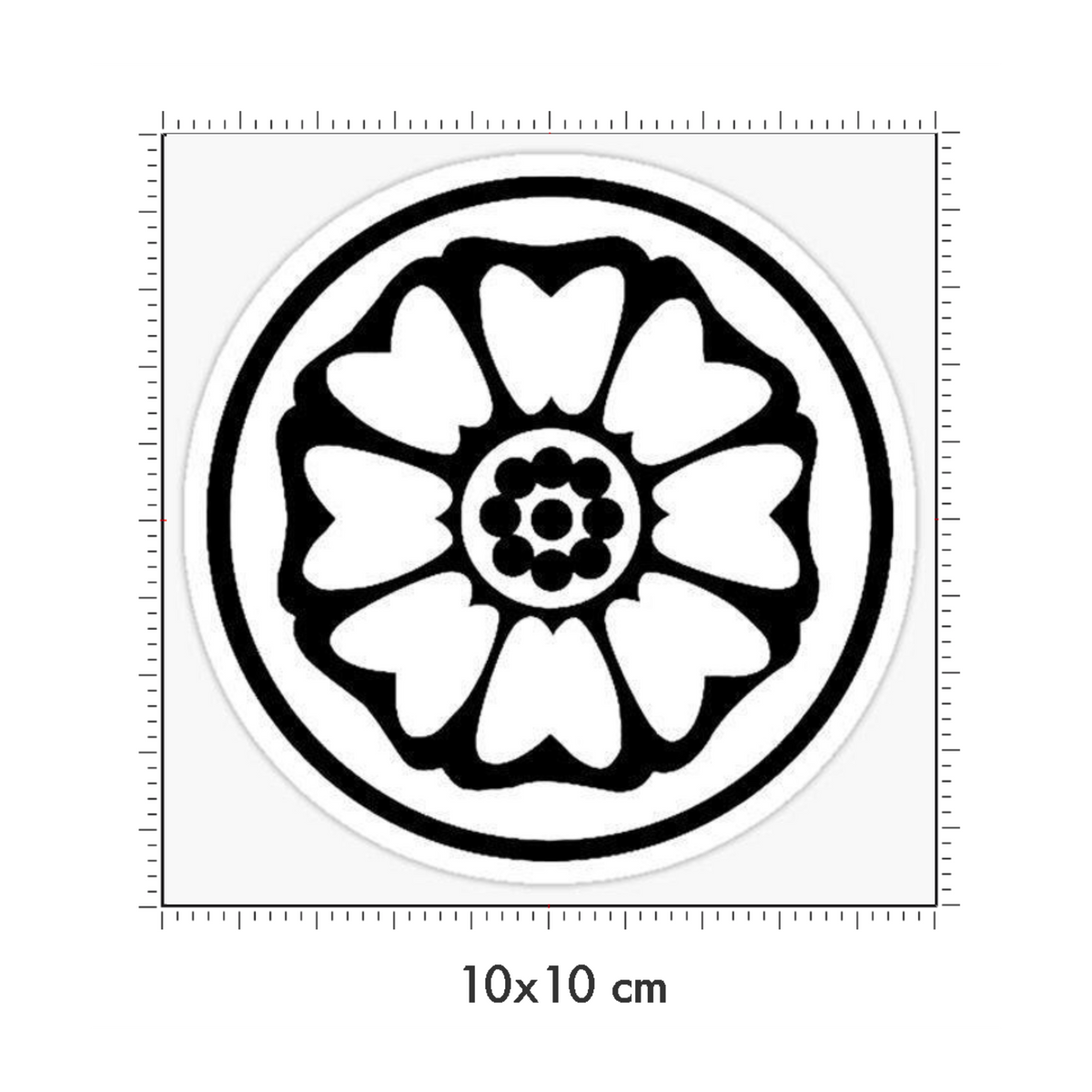 10 x 10 cm