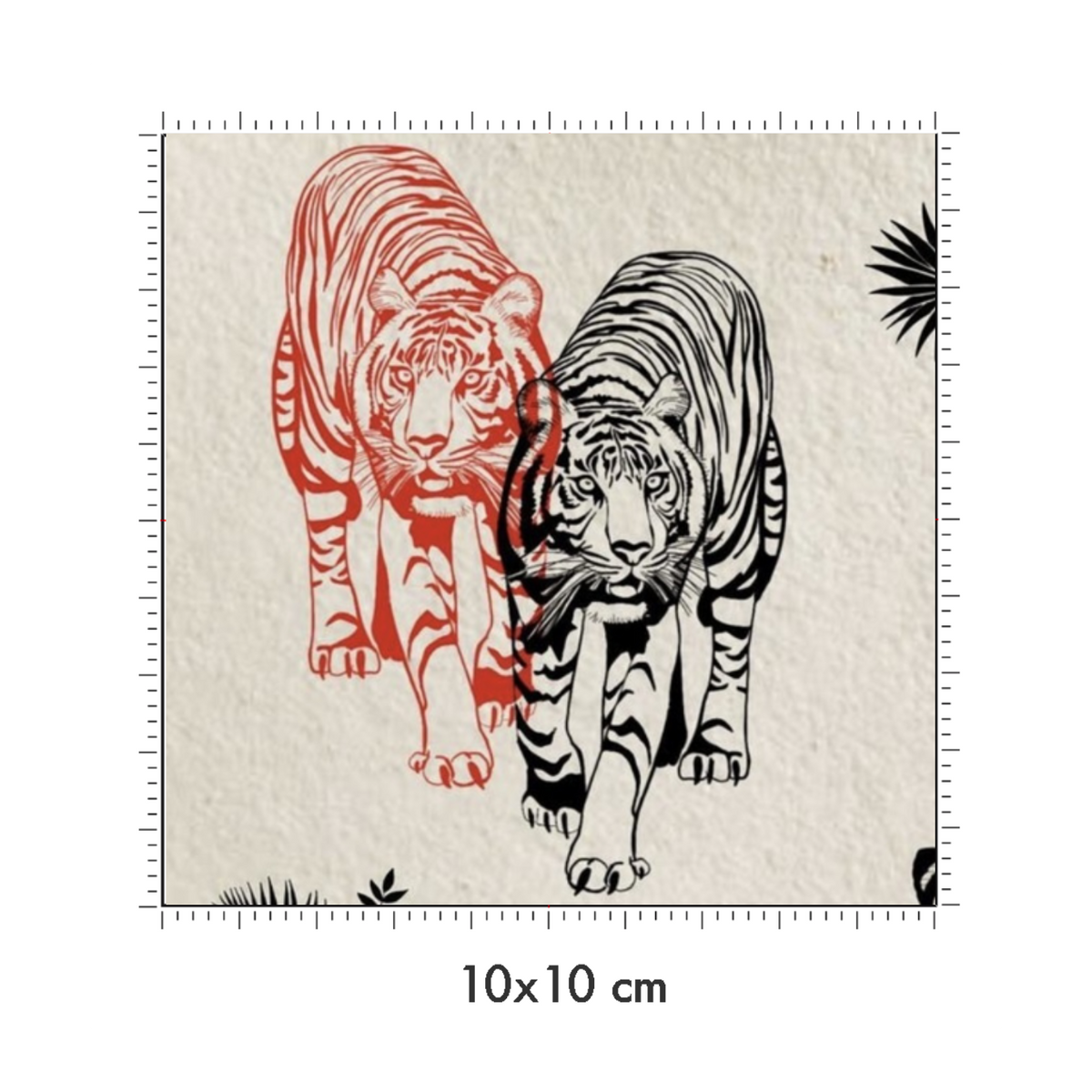 10 x 10 cm