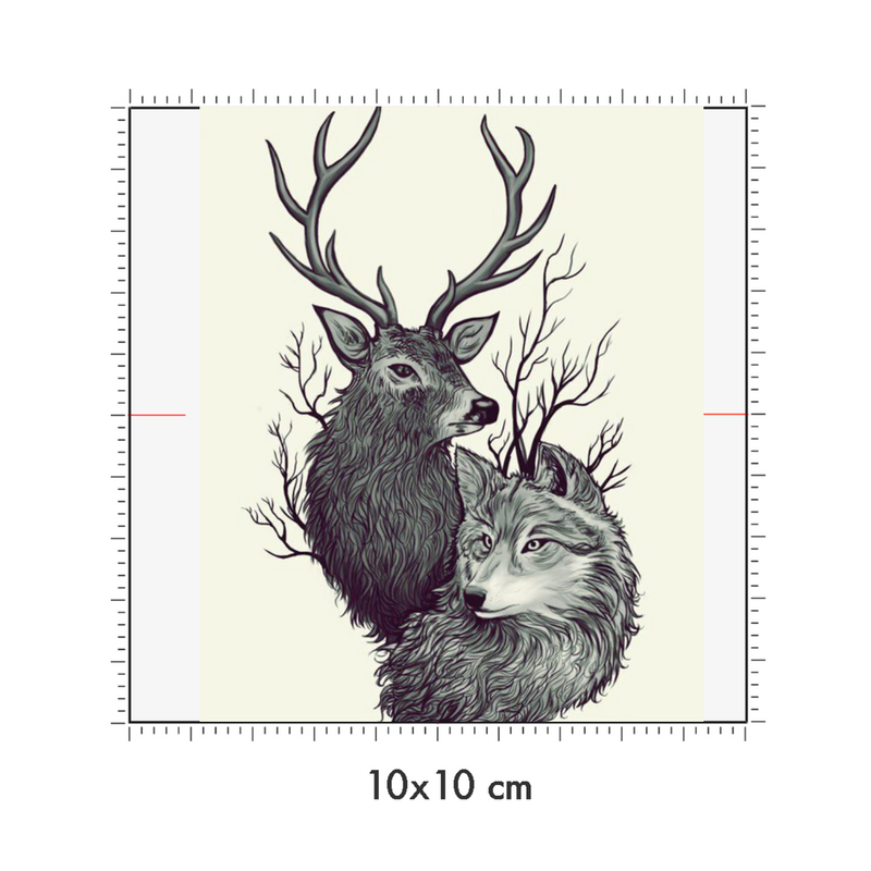 10 x 10 cm