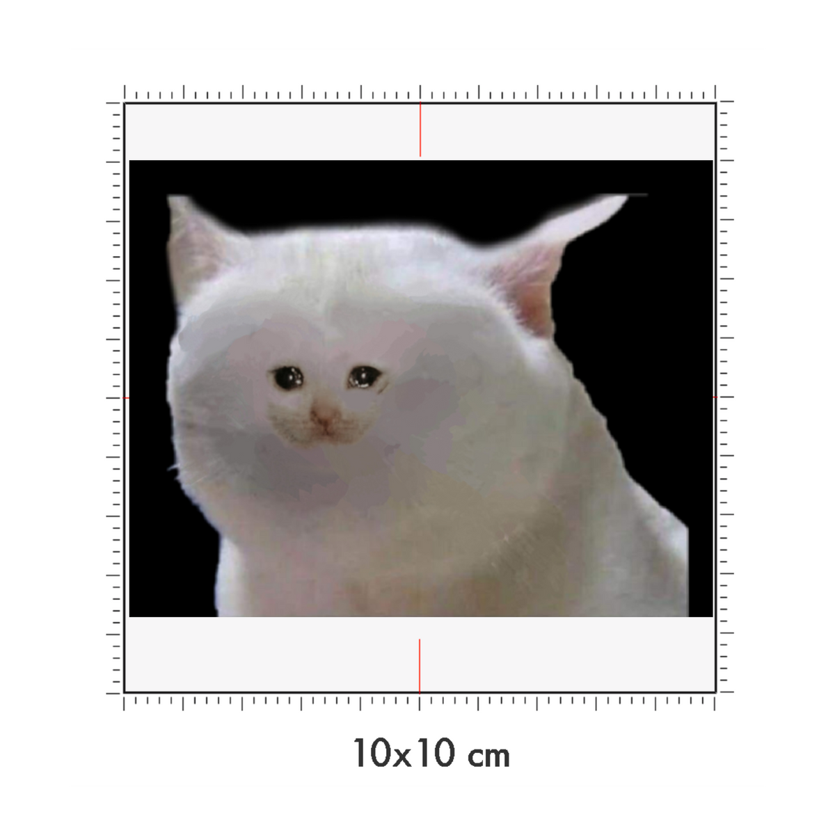 10 x 10 cm