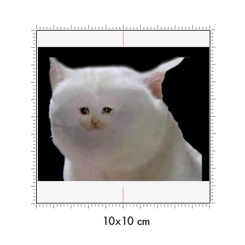 10 x 10 cm