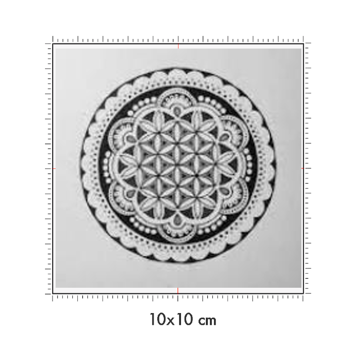 10 x 10 cm