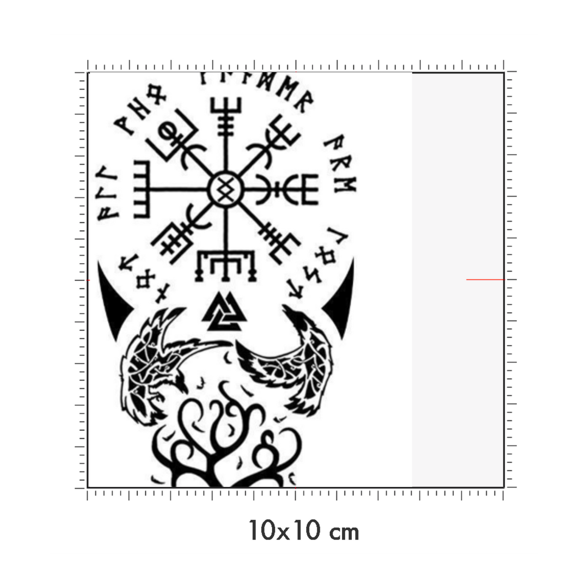 10 x 10 cm