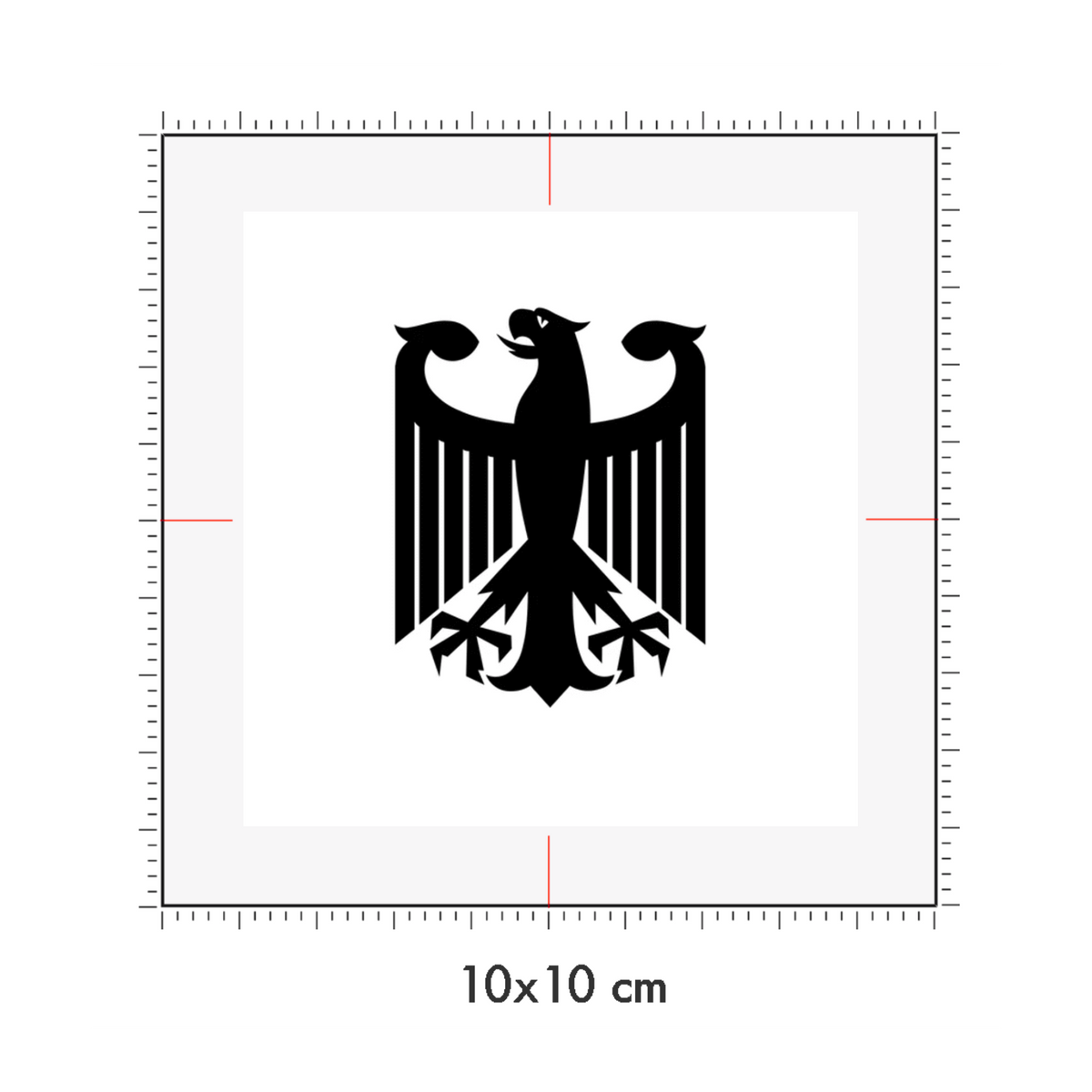 10 x 10 cm