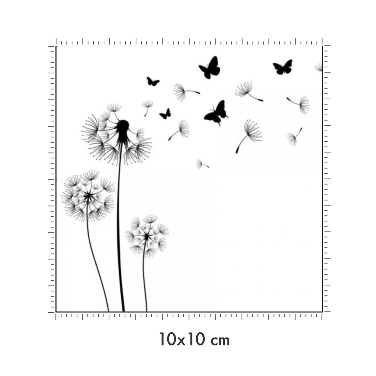 10 x 10 cm