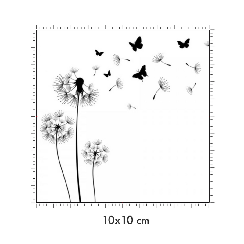 10 x 10 cm