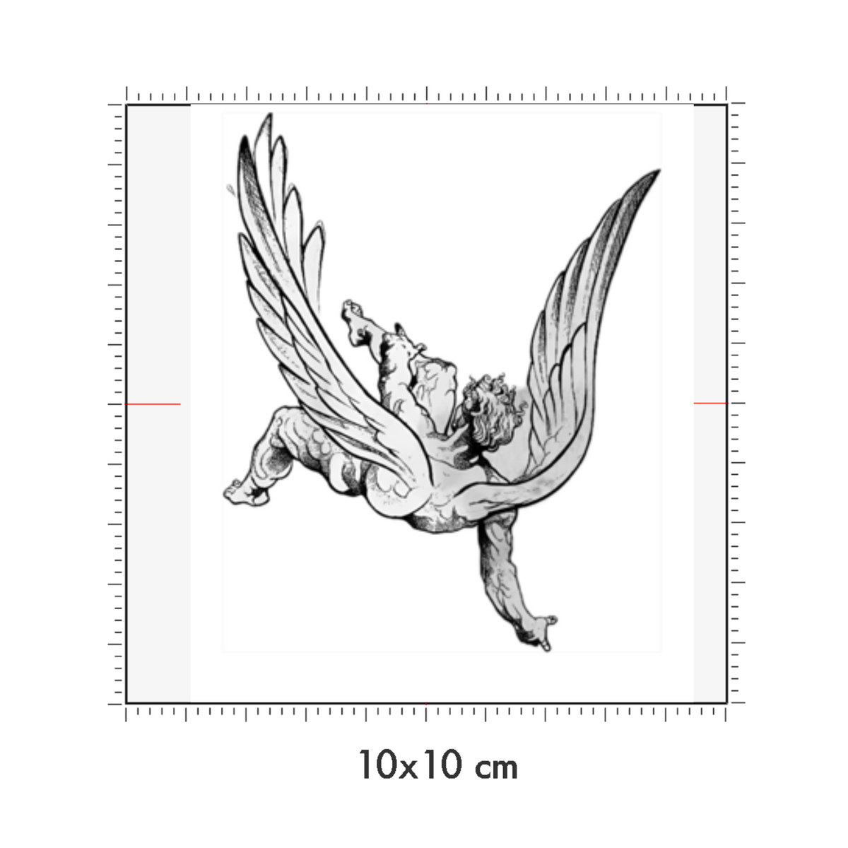 10 x 10 cm