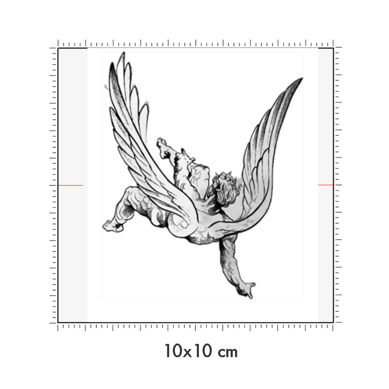 10 x 10 cm