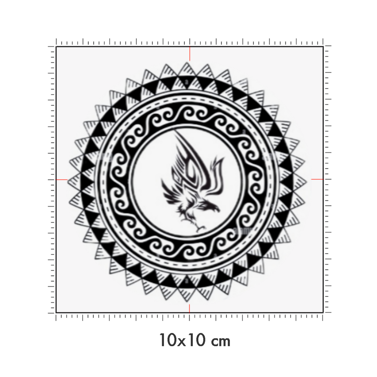 10 x 10 cm